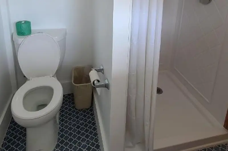 A bathroom with a toilet and a step-in shower, tiled in navy and white