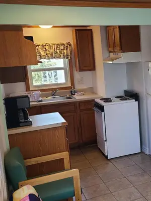 A kitchenette with a two-burner cooktop, a microwave and a small dining table, green upholstered chairs beyond